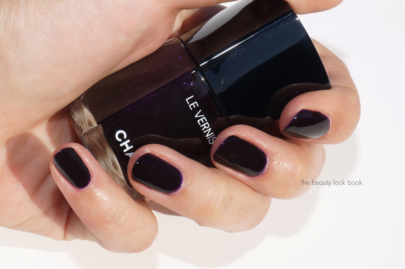 Chanel Le Vernis Longwear Nail Color and Le Gel Coat